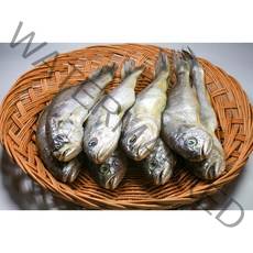 국내산 여수 섶간 참조기 1미 75g 대형 사이즈 15미 1kg, 참조기 중대 15미 (팩당 3미 190g 내외) 5팩