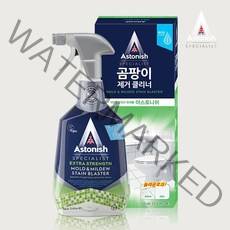 아스토니쉬 화장실 베란다 벽 타일 곰팡이 제거제 클리너 750ml, 단품