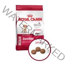 로얄캐닌 미디엄 주니어 4kg, 1개