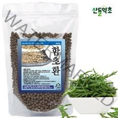 국내산 함초가루 분말 300g 함초 함초가루 함초분말 함초소금 함초가루분말국산, 함초가루 300gx1팩