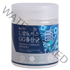 건강중심 L 람노서스GG 유산균, 250g, 1개