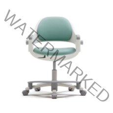 시디즈 링고 고정형 학생용의자 인조가죽 + 발받침 SNA509ACF, 6개, 그린티그린