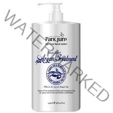 박준 블루라벨 아르간 트리트먼트, 1.15L, 1개