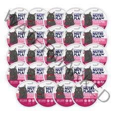 동원 뉴트리플랜 건강프로젝트 뽀짜툰 고양이 간식 피부&모질 160g, 참치, 24개