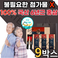 6년근 홍상 진새노사이드 면역력 기억력 피로 개선 40대 50대 남자 여자 어르신 청소년 예비 시댁 인사 선물 세트 홍삼 홍삼근 홍미삼 뿌리 100% 액 진세노사이드 스틱 선물용, 9박스, 30포