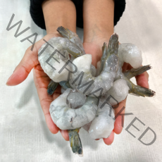 씨푸드몰 대왕새우 껍질없는 냉동 흰다리 새우 캠핑용 왕새우 900g, 21-25 왕새우 1개