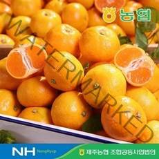 농협 제주 귤로장생 GAP 하우스감귤 4kg(2S-M), 1세트