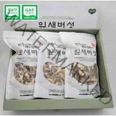 건조 잎새버섯 300g 재배농장 차 분말 (무농약 GAP인증) 강원도양양특산물, 1