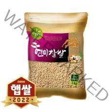 2022년 햇곡 국산 현미찹쌀 찰현미 5kg, 단품