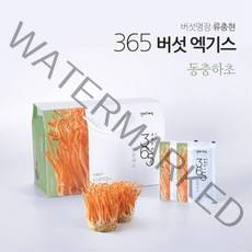 류충현약용버섯 365엑기스 밀리타리스 동충하초진액 백강균 말굽버섯 상황버섯 균사체 저온추출 장수음식 남성 건강즙 아빠선물 80mlX30포