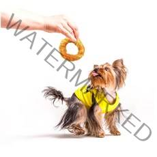 소힘줄껌 영양만점 치킨도넛 소형견용 S 10묶음 보상용 착한스낵 애견유치원용 기호성