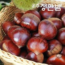 [푸드마인] 22년 공주밤 정안 알밤 2kg(특품) 햇밤, 상세 설명 참조