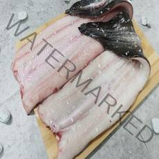 토종 고창 풍천장어 민물손질장어 대 550g 내외 + 양념소스, 단품