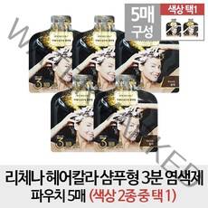 리체나 [리체나5매] 헤어칼라 샴푸형 3분 염색제 파우치 5매 (색상 택1), 1개, 부드러운 갈색