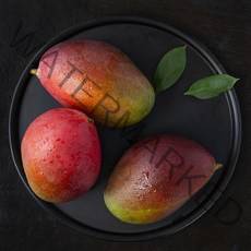 더로얄 브라질 애플망고, 1.25kg(3입), 1팩