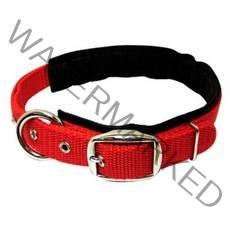 허스키 진도견 대형견 나일론 목줄 특대 강아지목줄