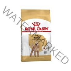 로얄캐닌 어덜트 푸들 강아지 사료 건식사료, 곡물, 1.5kg, 2개
