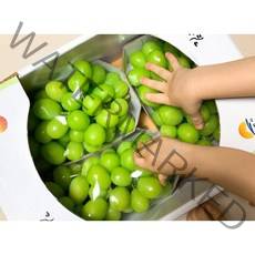 [해오름농산] 산지직송 특등품 김천샤인머스켓 2kg [3~4송이] 고당도 프리미엄 샤인머스켓