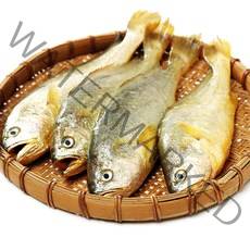 국내산 여수 섶간 참조기 3미 220g 내외 대장대 사이즈 15미 1.2kg내외, 참조기 대 15미 (팩당 3미 220g 내외) 5팩