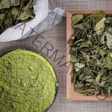 올바르다 국내산 100% 유기농 건강분말 국산, 22) 유기농 꾸지뽕잎 분말 가루 100g x 1팩