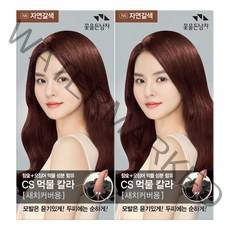 꽃을든남자 오징어먹물 염모제 N6 자연갈색 X 2개