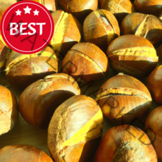 살림파파 스테비아밤 스밤스밤 칼집약단밤 생율밤 알밤 군밤용밤 칼집낸밤, 스테비아밤_생율밤 500g 1+1