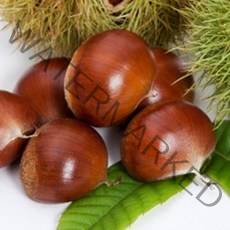 충주밤 (대) 2kg / 22년 햇밤 개시 (이장님네 농산물), 1박스, 충주밤(대) 2kg