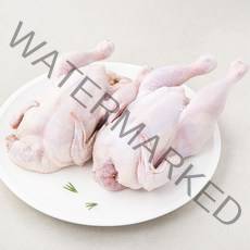 곰곰 1등급 생닭 7호 (냉장), 2마리