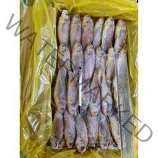 프라임 참조기, 50마리전후/2.5kg