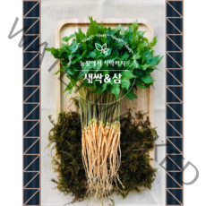 새싹농부의 건강한 새싹삼 가정용 못난이 샐러드 미니 소, 샐러드200뿌리