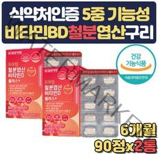 철분 엽산 비타민D 플러스 비타민B 구리 6개월분