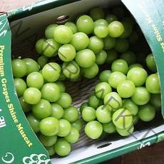 [농장직송] 프리미엄 샤인머스켓 망고 포도, 품질보장 특상 2kg (2-3수)