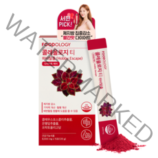 푸드올로지 마시는 다이어트 콜레올로지 티, 15포, 1개