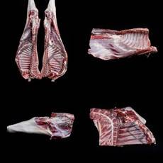 냄새없는 호주산 암컷 염소고기 할랄인증 HALAL 냉동 염소 지육, 암컷 뒷다리, 6kg