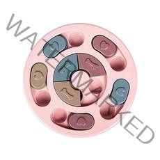 리스펫 강아지 노즈워크 퍼즐 장난감 원형 24 x 24 cm, 핑크, 1개