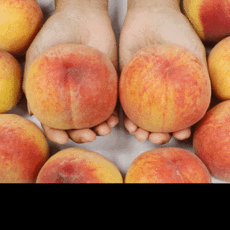 말랑이복숭아 햇사레복숭아 황도복숭아 3kg 4kg 황도, 푸띠 말랑이햇사레 황도복숭아 3k 11-12개