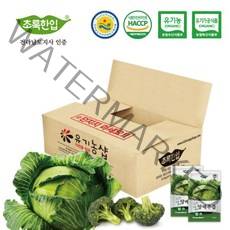 초록한입 국내산 유기농 브로콜리 양배추즙 110ml 60포 실속포장, 110ml * 60포