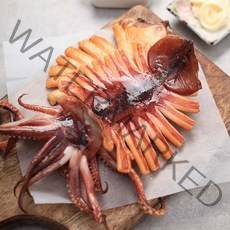 100% 국내산 동해 영덕 반건조 오징어 10마리 600g~1.1kg, 반건조 오징어 10마리(중 900g)