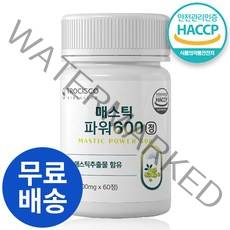 HACCP 식약처 인증 위 건강 매스틱정 매스틱 위장 식물성 매스틱검 양배추 브로콜리 추출 위장 소화 매스틱 분말 600mg, 1개, 60정