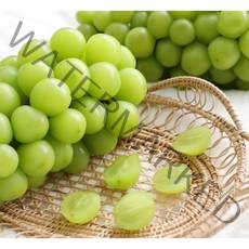 달콤 샤인 머스캣 망고포도 2kg3~4수안전포장, [가정용] 2kg 4수