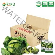 [아따~덥다] (초록한입) 국내산 브로콜리 양배추즙 60포/실속포장, 쿠팡 1, 쿠팡 본상품선택, 쿠팡 본상품선택