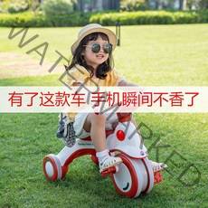 성인세발자전거 할아버지 노인 성인용 할머니 비싼 초등학생 3륜 세발 2인용 이인용, 단일사이즈, 보라