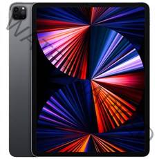 Apple 아이패드 프로 12.9 5세대 M1칩, 스페이스 그레이, 256GB, Wi-Fi