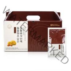 내몸애 동충하초담은 상황버섯진액 70ml x 30포