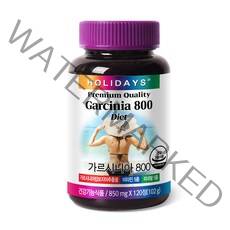 홀리데이즈 가르시니아 800, 120정, 1개