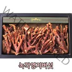 동스파파 류충현 고품질 영지버섯 약용 녹각영지버섯, 1개, 200g