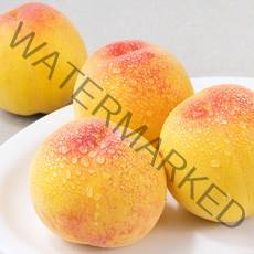 맛뜨레 부드러운 복숭아, 800g(4입), 1팩