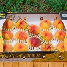 이천 장호원햇사레복숭아 2kg 3kg 감곡 딱딱이 말랑이복숭아, 1박스, 황도복숭아3kg 10과