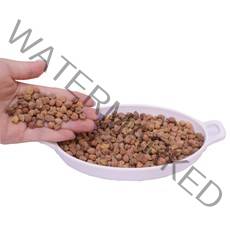 원플원 수입 잡곡 호주 검은 병아리콩 500g+500g, 단품, 단품