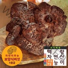 보양식재료[백향송이]자연향가득 자연산A등급 냉동 능이버섯 1kg 효도선물, 능이버섯 A등급 1kg